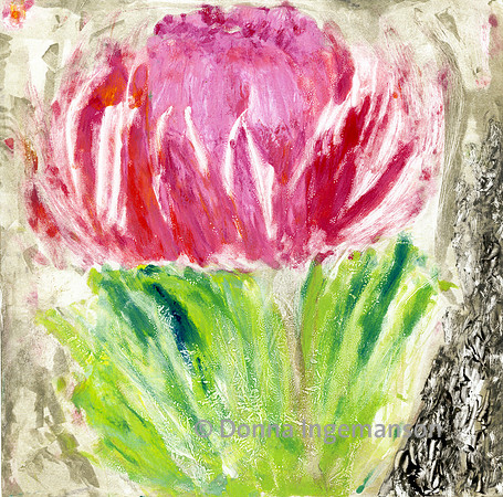 protea #2